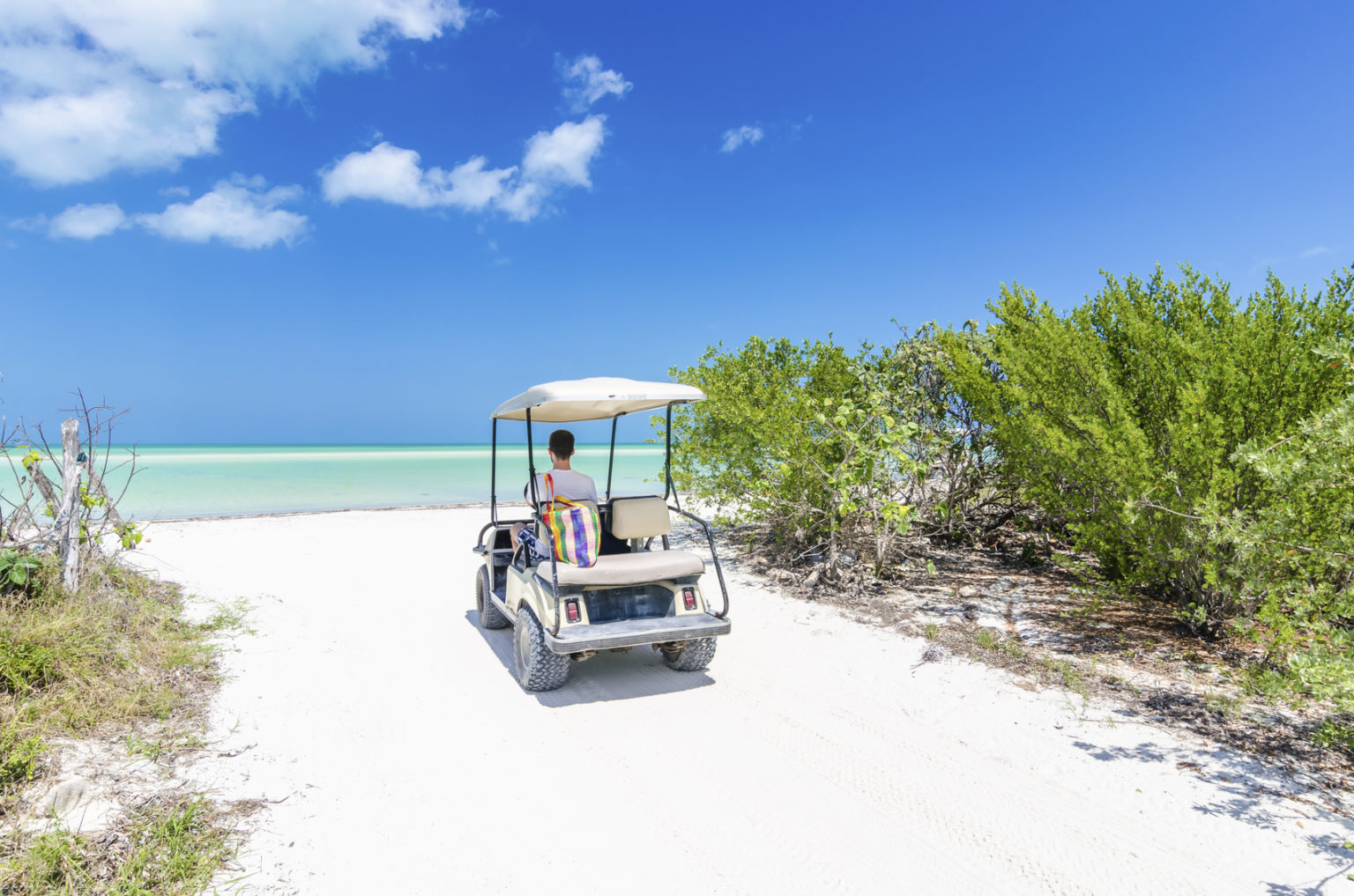 Cute young man driving golf cart back view at tropical white sandy beach during his Caribbean vacation on Holbox island, Mexico